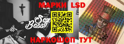 spice Славгород