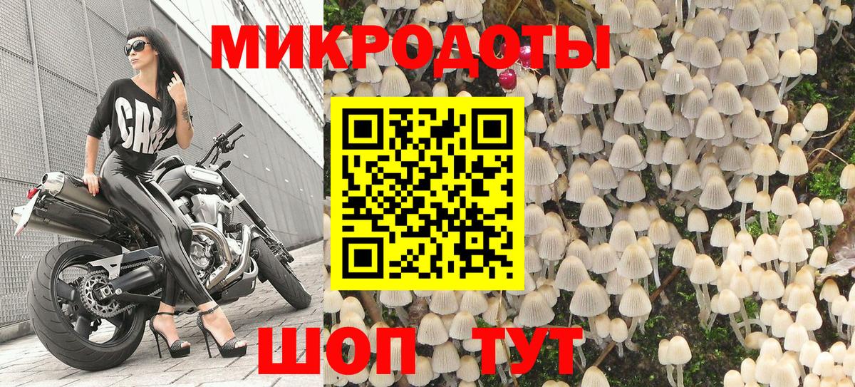 Псилоцибиновые грибы мухоморы Полевской